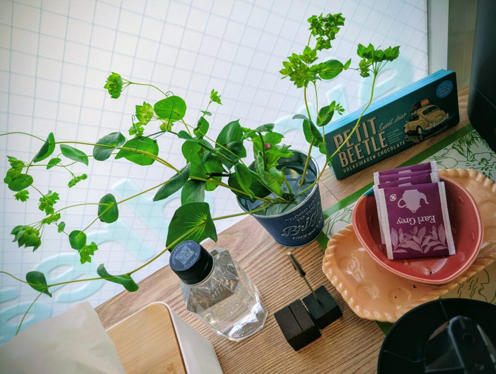 フリードリンクと緑と