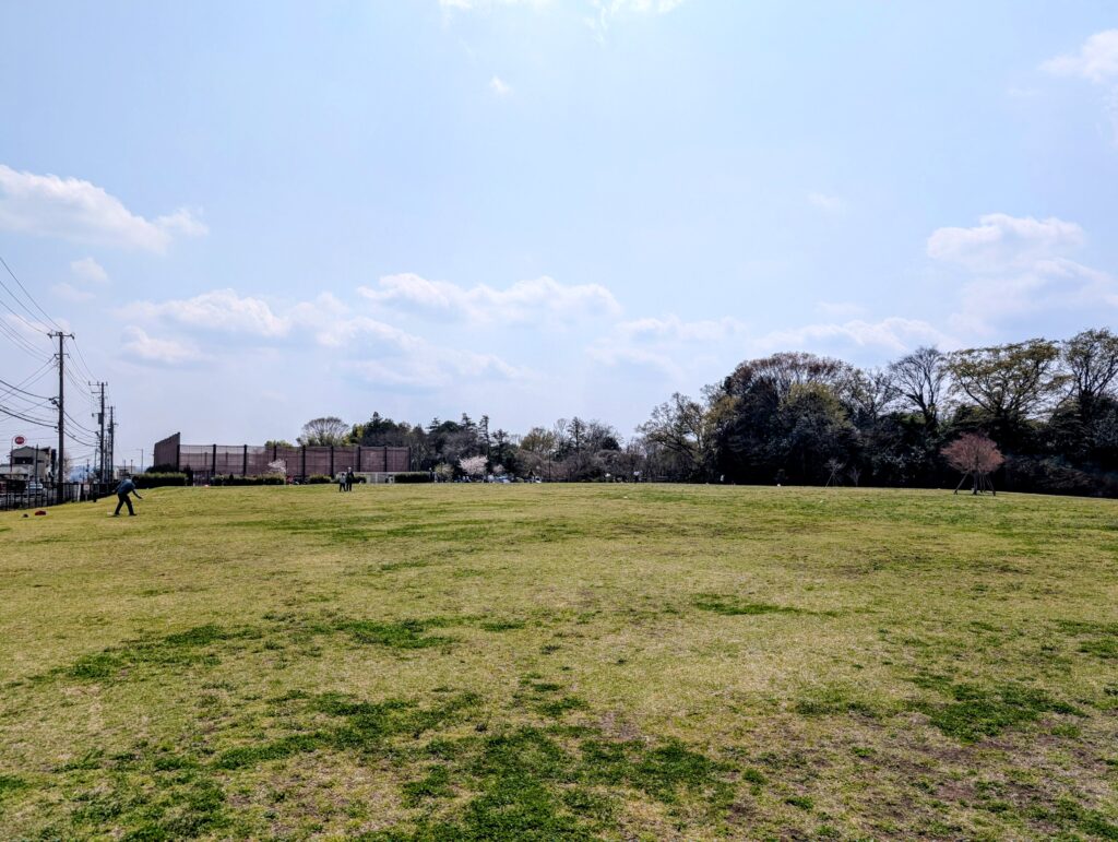 芹ヶ谷公園・芝生広場