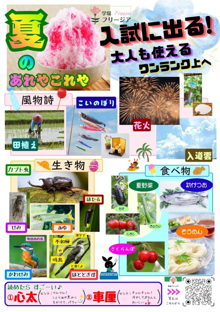 夏のあれこれ
