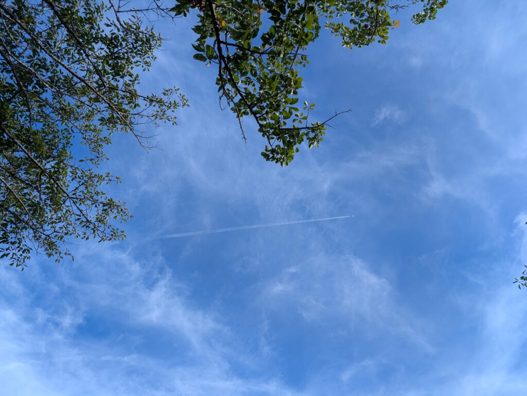 山中湖・パノラマ台から見た飛行機雲