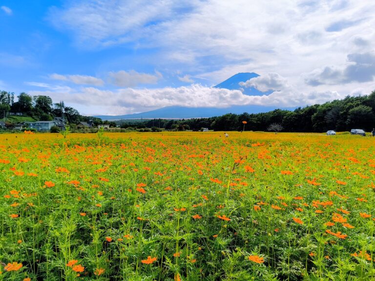 初秋の山中湖に涼を感じる